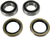 PIVOT WORKS - PWRWK-T04-521 - Wheel Bearing Kit - Rear