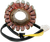 RICK'S MOTORSPORT ELECTRIC - 21-328 - Stator - Suzuki