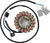 RICK'S MOTORSPORT ELECTRIC - 21-934H - Stator - Hot Shot - Yamaha