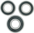PIVOT WORKS - PWRWK-T06-000 - Wheel Bearing Kit - Rear - Gas Gas/KTM/Husqvarna/Kawasaki