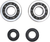 PROX - 23.CBS43087 - Crank Bearing and Seal Kit - Kawasaki