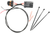 NAMZ - OR-P-PTH-01-R - Tap Harness for License Plates Light