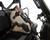SEIZMIK - 58-07500 - ICOS in Cab on Seat Gun Rack 2 AR