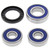 ALL BALLS - 25-1287 - Wheel Bearing Kit - Rear - Kawasaki 750/900