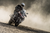 BRIDGESTONE - 11673 - Tire - Battlax Adventurecross AX41 - Front - 100/90-18 - 56P