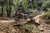 BRIDGESTONE - 11458 - Tire - Battlax Adventurecross AX41 - Rear - 140/80B17 - 69Q