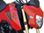 HOT BODIES - 41401-0100 - Turn Signals - Grom - Clear