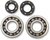 HOT RODS - K005 - Crankshaft Bearings - Kawasaki