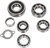 HOT RODS - TBK0056 - Bearing Kit - Transmission/Replacement - Suzuki LT-R 450