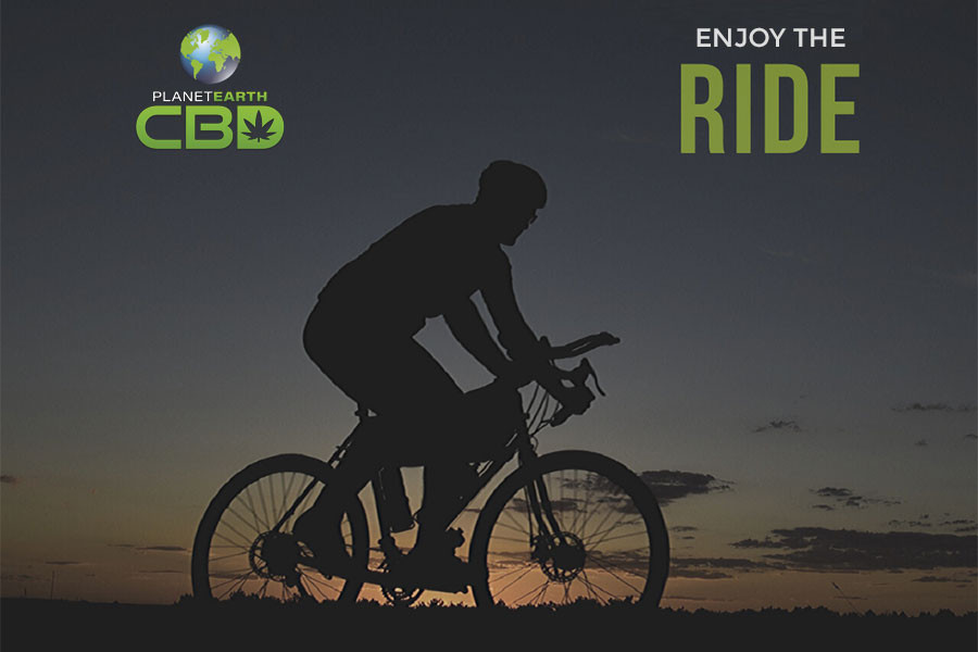 Life is an Adventure