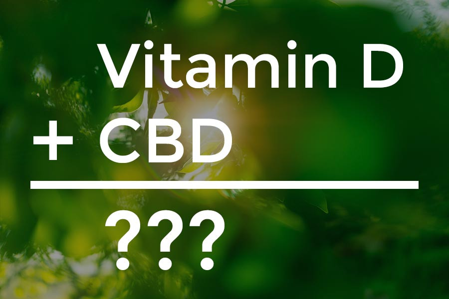 Vitamin D and CBD — they’re more connected than you think