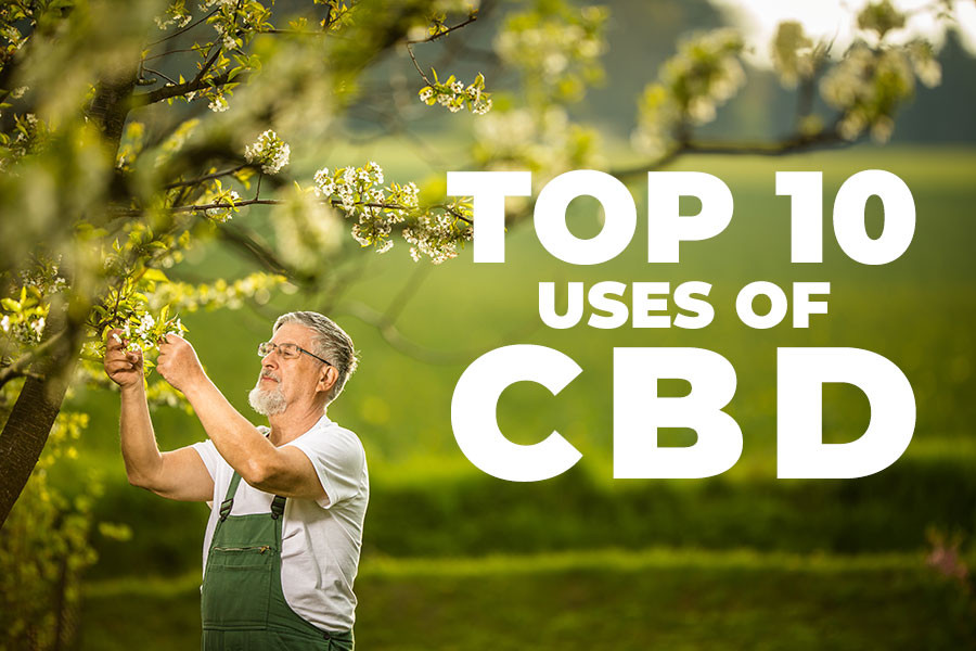 Top Ten Hemp Extract Essentials