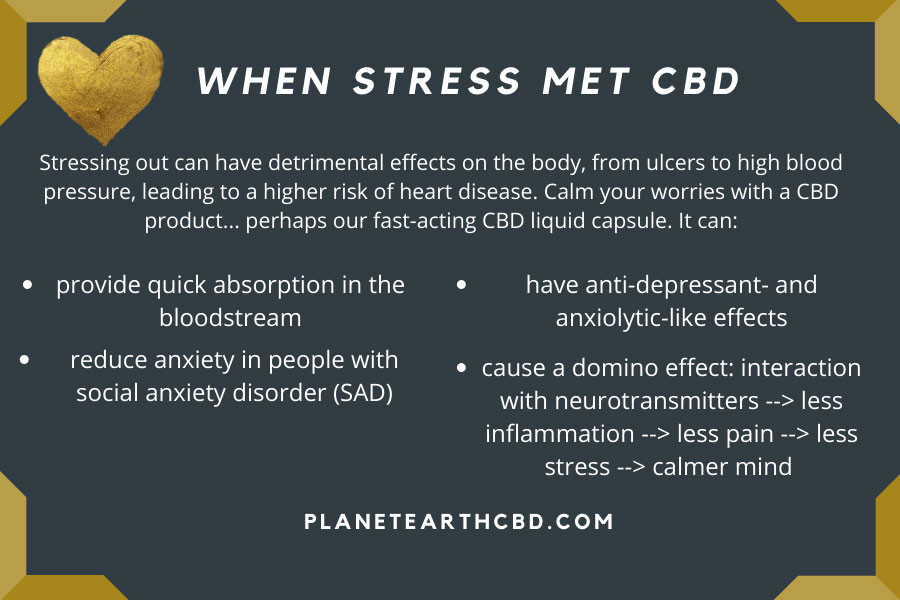 When Stress Met CBD