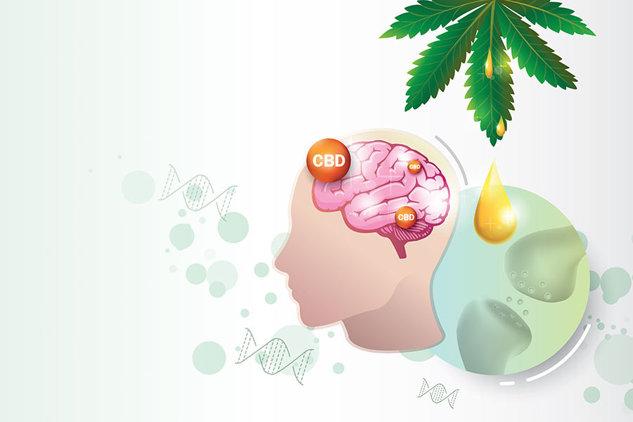 More Findings on CBD, the Brain, and Anxiety