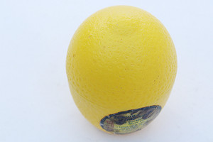 Large Lemon Storage Container Large Lemon Storage Container