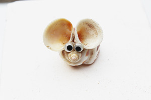 Seashell Mouse