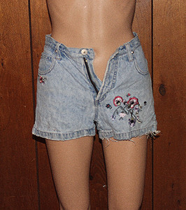 Vintage Xhilaration Embroidered Design Denim Shorts