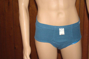 Hanes Men's 100% Cotton Jersey Brief Underwear Blue