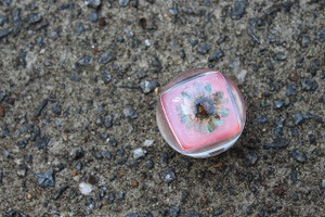 Beauty Treats Blue Sunflower Crystal Ice Earth Tone Pink Glitter Lip Gloss