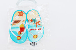 Bahamas Flip Flops Magnet