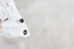 Kaibo Dual Audio Extension Cable