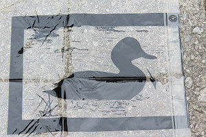Duck Pond Design Plastic Shower Curtain