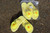 Yellow Daisy Flip Flops 7