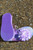 Purple Daisy Flip Flops