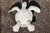 Fiesta 8" Sea Turtle