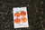 Vintage La Petite Orange Translucent 3/4" Button #P29