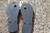 Vintage Dots Black Sole Flip Flops Size 5-6