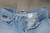 Vintage DKNY Denim Jeans