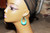 Vintage Samara Teal Oval Drop Pierce Earrings