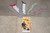 Reflex Tech Ankle Cut Red/Black/Yellow Socks