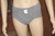 Hanes Men's 100% Cotton Jersey Brief Underwear Gray