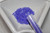 Trypan Blue