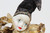 Vintage The San Francisco Music Box Company Harlequin Porcelain Doll