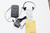 Plantronics S10 Telephone Headset System