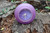 Purple Quartz Alarm Clock
