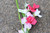 Floral Garden Gladiolus- Red/White/Pink