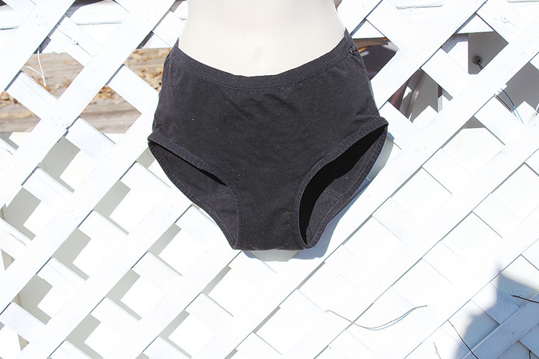 PERIOD Brand Insert Panty Underwear