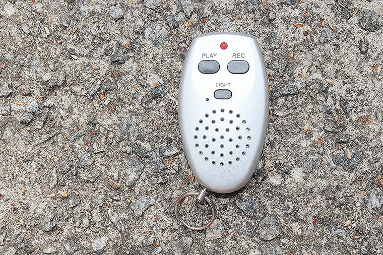My Lil' Reminder Voice Recorder/Key Chain/Flashlight