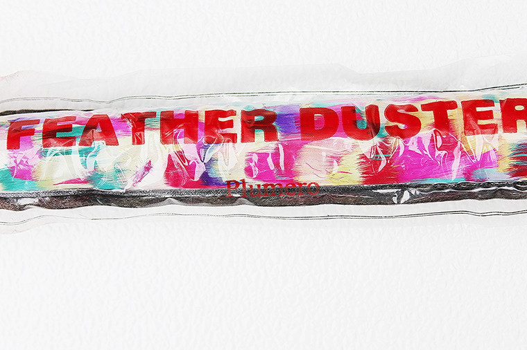 Colorful Feather Duster