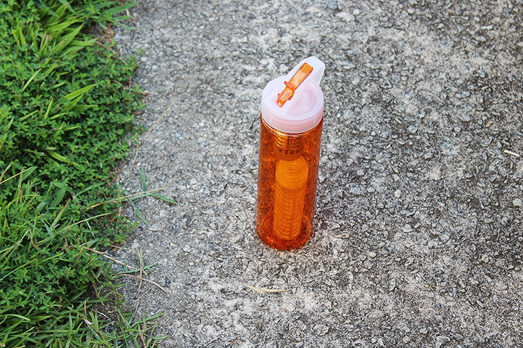 Piedmont Filter Water Bottle Fruit Infuser