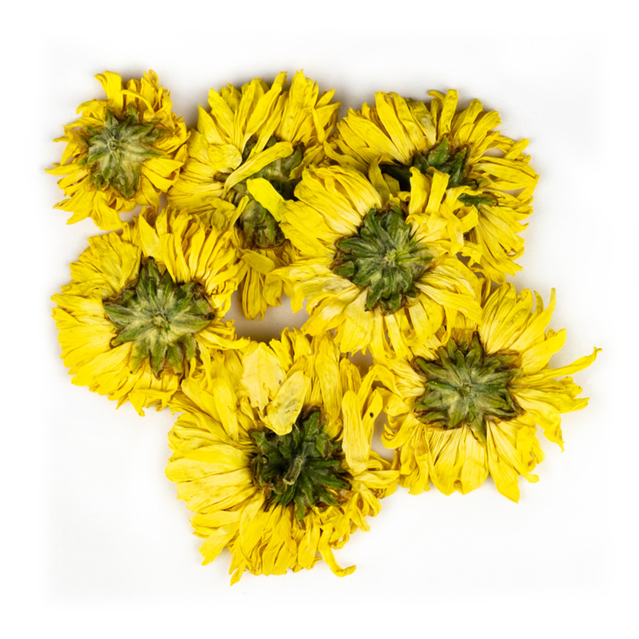 yellow chrysanthemum