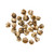 Jasmine Pearls - Mò Li Zhēn Zhū
