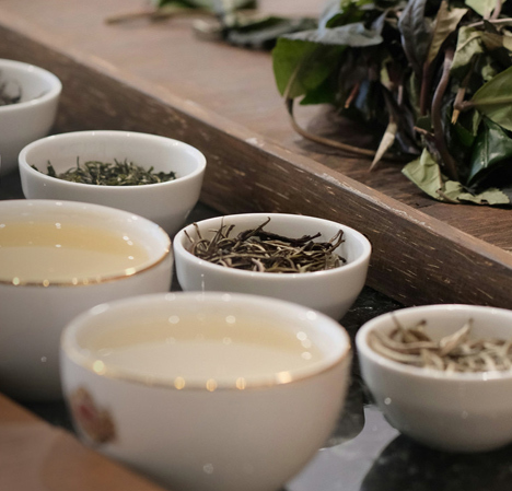 Organic Teas