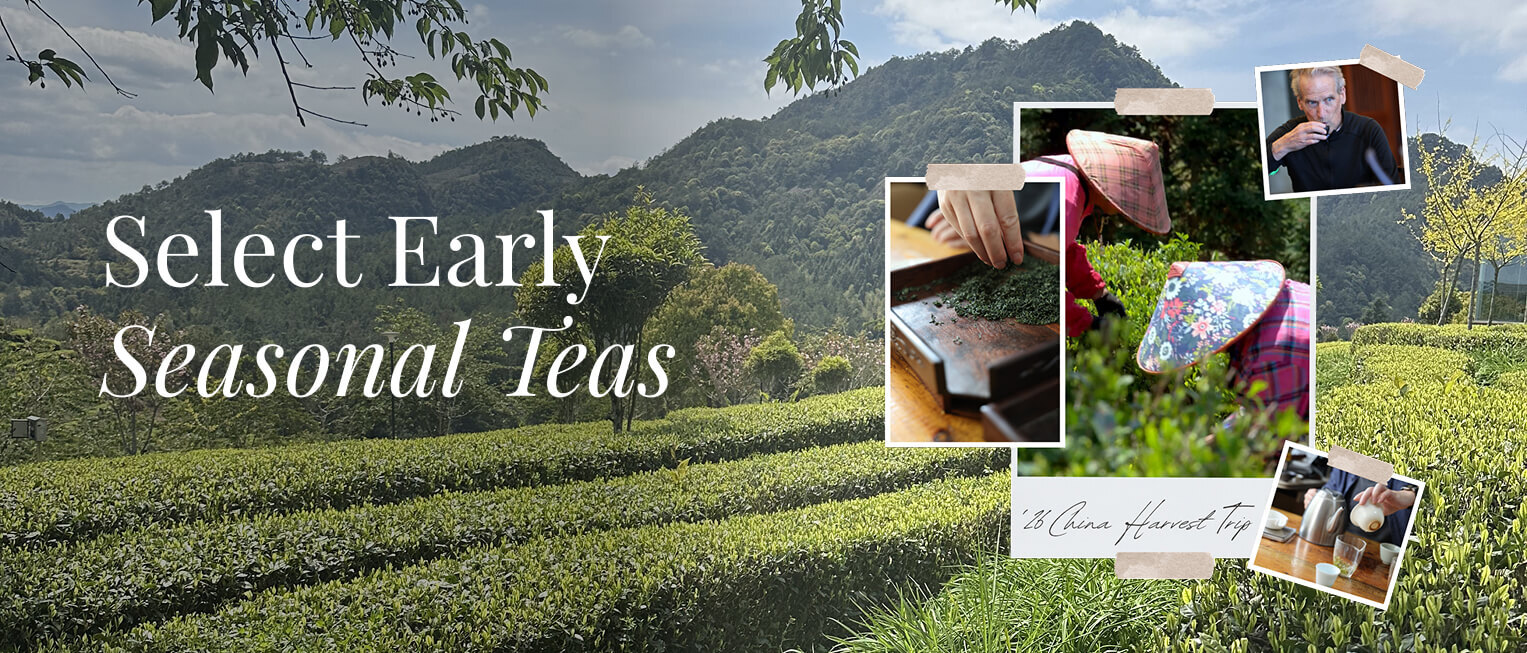 Spring Tea Samplers