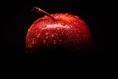 5 Macro Photography Ideas for Stunning Nature Shots