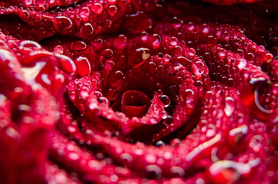 7 Tips on How to Perfect Your Macro